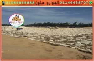 تجهيز موقع التدبيش