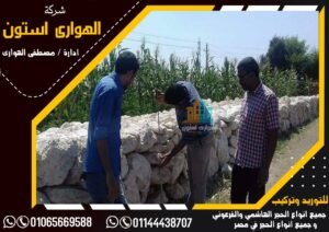 اختبارات الدبش